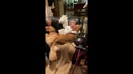 My two golden retrievers being extra gentle with my 92-year-old grandma!