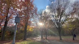Beautiful changing colors of trees in Autumn in Newyork.  A mind boggling view of sun rays behind the trees.