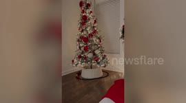 Mum shares how to make even the most sparse Christmas tree look catalogue-ready