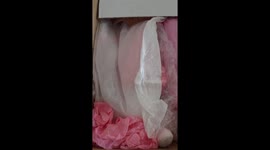 Woman trolled online for lifelike doll collection worth thousands