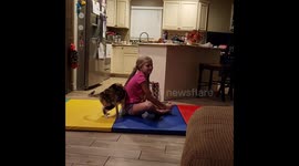 Calico Cat Gives Owner Love Then Takes it Back
