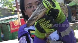 Talented female snake catcher tames 10ft long python inside family’s home in Myanmar