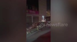 Hundreds of monkeys scramble for cover during fireworks display in Thailand