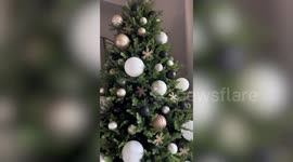 Mum shares how to make even the most sparse Christmas tree look catalogue-ready