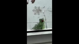 Office views in Miami