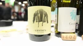 XXI Salón de los Mejores Vinos de España vuelve con todo tipo de proyectos enológicos