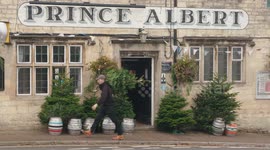 Pub sells Christmas trees in Gloucestershire, sharing the name of the royal who introduced them to Britain