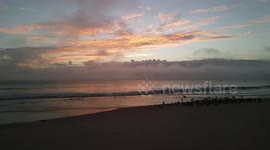 Birds at sunrise.