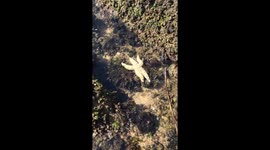 A slippery starfish in timelapse mode looks like how i wake up and get out of bed