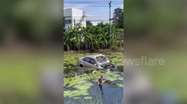 Hero passers-by rescue driver trapped in sinking car in pond