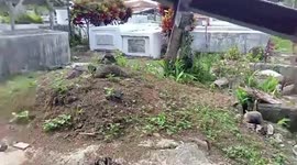 Crazed villager decapitates neighbour over money dispute and displays her severed head in cemetery