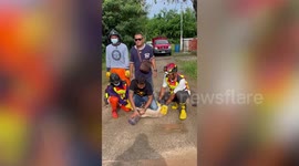 Hero driver rescues dog with head stuck in plastic jar