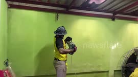 Rescuers drill through home's wall to save stray cat stuck inside