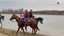 Horse takes the first step into the water and goes crazy