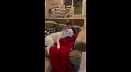 Kid enjoys Velvet dog ears while relaxing on sofa and find them comfier than soft blanket