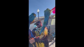 Parrots on Bikes at the Beach