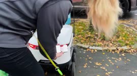 Co-Op Starship Robots: Co-Operative staff load groceries into a robot for delivery in Leeds, UK