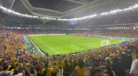 Socceroo fans celebrate a fantastic win over Denmark as Australia makes World Cup history
