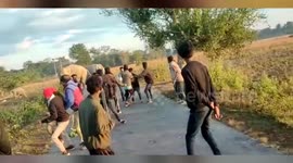 Locals chase away elephants in northeastern India