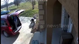 Thanksgiving Day fail. Mom falls. Daughter Reacts.