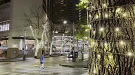 Pretty Christmas scene with street lights in downtown Seattle