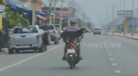 Adorable pet dog rides pillion on motorcycle in southern Thailand