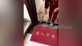 Sweet and sassy cat holds door tightly and refuses to leave when being 'driven out' by owner