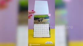 Mum selling wacky “fetish” calendars says her bestseller features cats going to the toilet