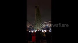 UK: Christmas Tree From Norway Lights Up In Trafalgar Square