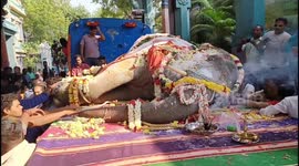 Thousands mourn death of temple elephant in India