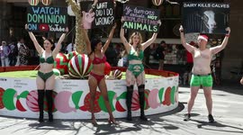 Animal rights activists lingerie protest, Sydney, Australia