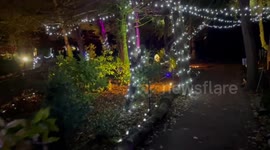 Walmer Castle Christmas lights on Kent coast create magical atmosphere