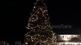 Couple’s first Xmas tree planted in their garden 44 years ago now stands 50ft high