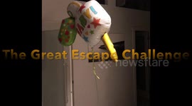 Bengal Cats Ella and Albus both take on the Great Escape Challenge
