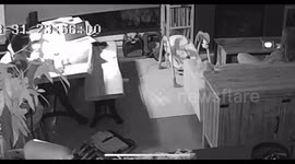 Home Security camera catches the moment Bengal cat Albus freaks out for nothing