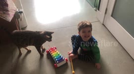 Baby Boy Makes some Music with his favorite composer Ella the Bengal Cat
