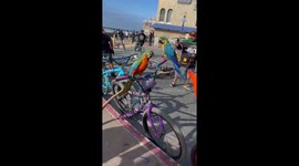 Metallic Metal Parrots Head bang to Whiplash