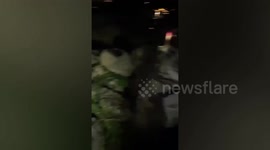 Rescue team save stray dog stranded on steep cliff in Thailand