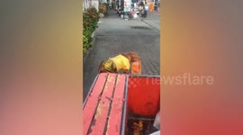 Loyal pet dog follows monk collecting alms in Thailand
