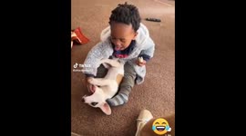 Babies are just funny .. watch this kid playing with his little dog .