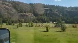 Riding in truck while capturing the sites of Montana.