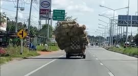 Pickup truck overloaded with hay trundles across highway in Thailand
