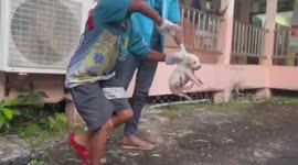 Young rescue volunteers save puppy stuck under building drain in Thailand
