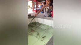 Bungling youngster tumbles into tub in hilarious prawn catching fail