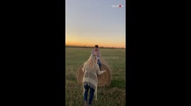 Failed photography prompt causes child to crash to the ground!