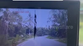 Shocked driver dodges out-of-control truck as it flipped in front of her