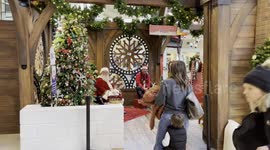 Santa and Christmas Tree Lights in Bellevue WA