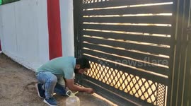 Common krait rescued from forest department officer’s residence by snake catcher’s team in central India