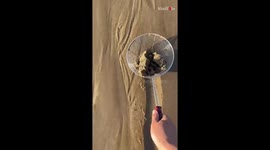 A strange smiley-faced creature on beach makes person's blood run cold