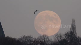The last full moon of 2022, as seen from east London